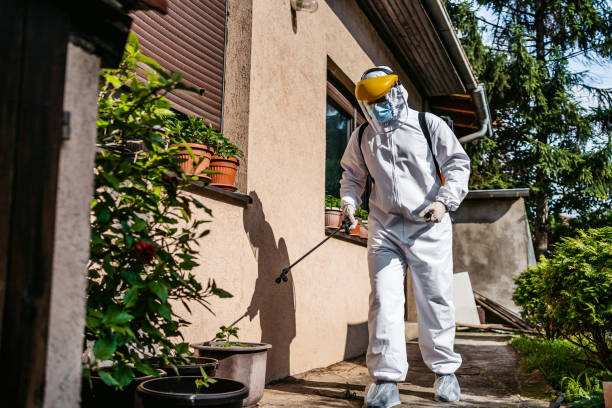 Best Termite Control Services  in Erie, CO