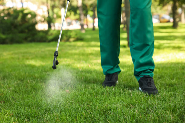 Best Ant Control Services  in Erie, CO