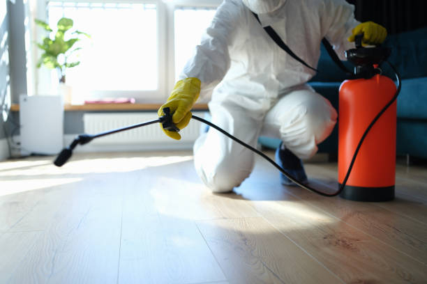 Flea Control Services in Erie, CO