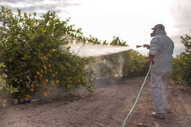 Best Mosquito Control Services  in Erie, CO