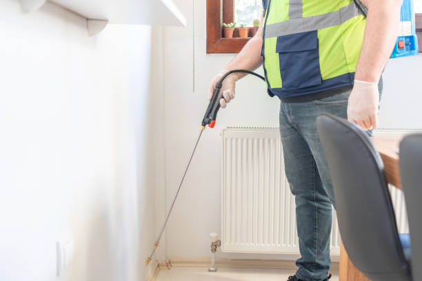 Best Wasp Removal Services  in Erie, CO