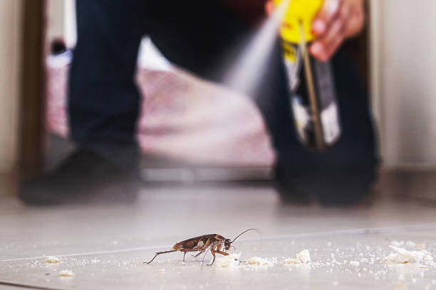 Best Pest Removal Services  in Erie, CO