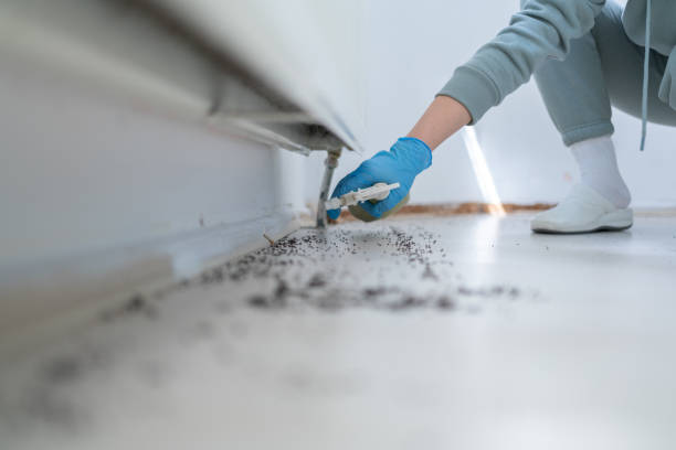 Best Residential Pest Control  in Erie, CO