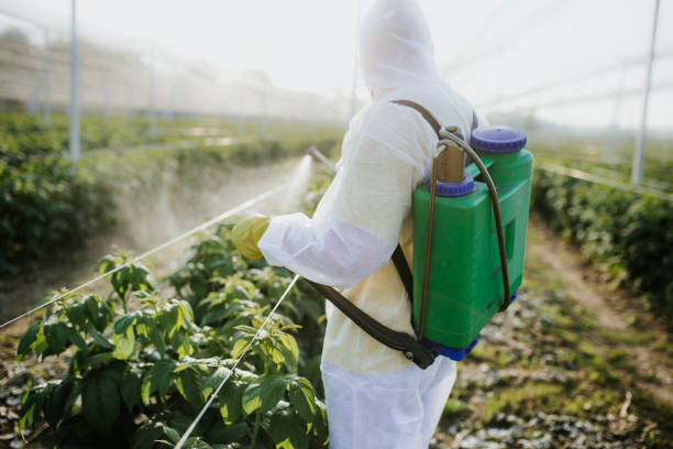 Best Bed Bug Extermination  in Erie, CO